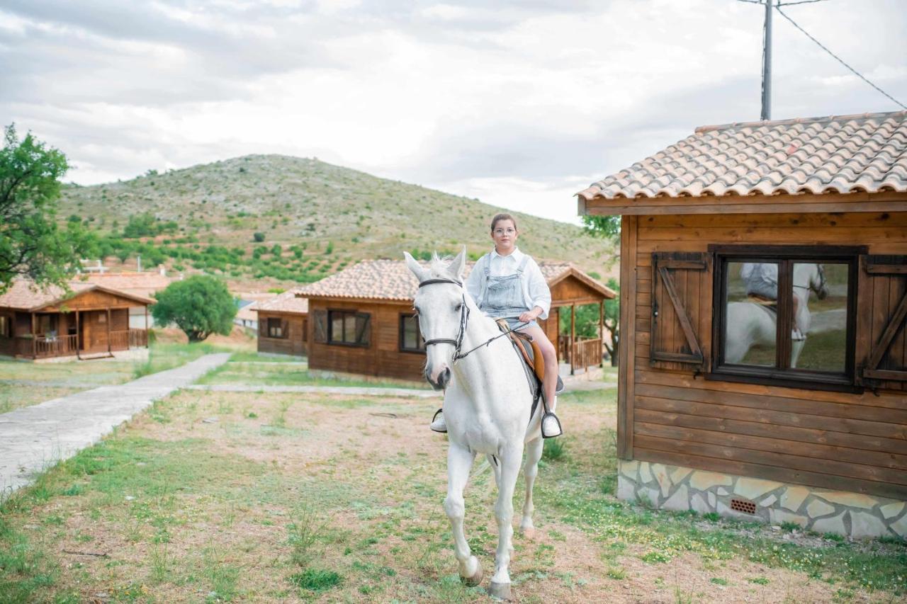 Aldea Los Odres - Cabañas de Madera de 1ª recién Reformadas con Piscina y BBQ Privada Moratalla  Esterno foto