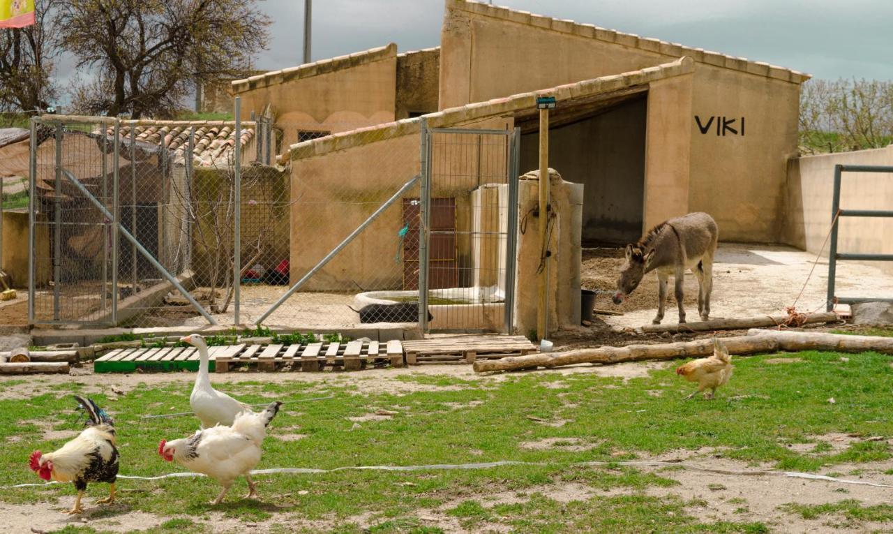 Aldea Los Odres - Cabañas de Madera de 1ª recién Reformadas con Piscina y BBQ Privada Moratalla  Esterno foto